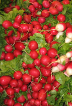radish