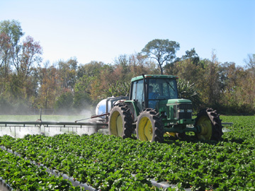 pesticide spraying