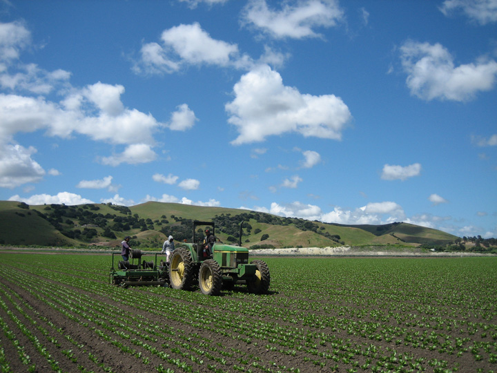 feild workers