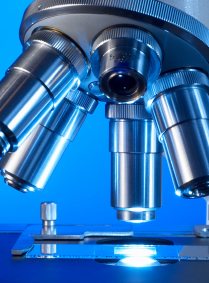 microscope closeup